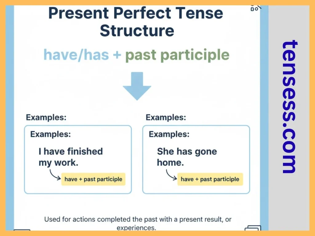 What Is the Present Perfect Tense?