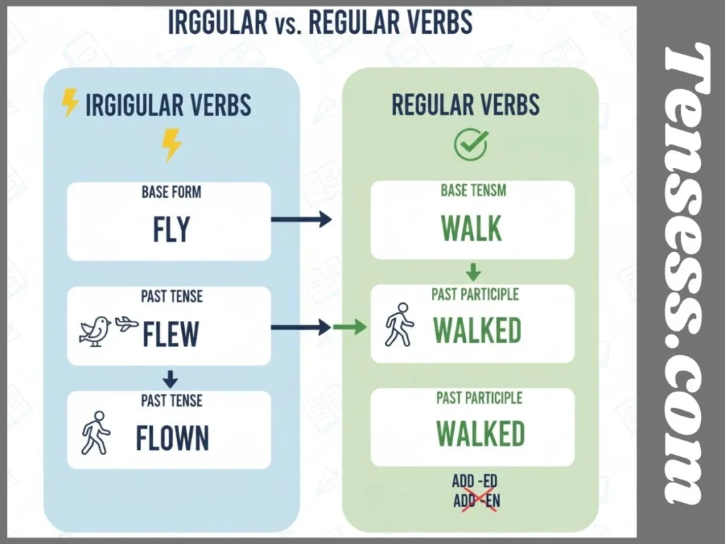 Formation of the Past Tense of Fly