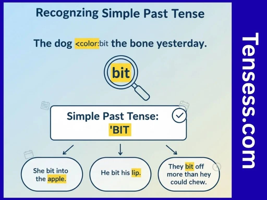 How to Recognize the Past Tense of “Bite”?