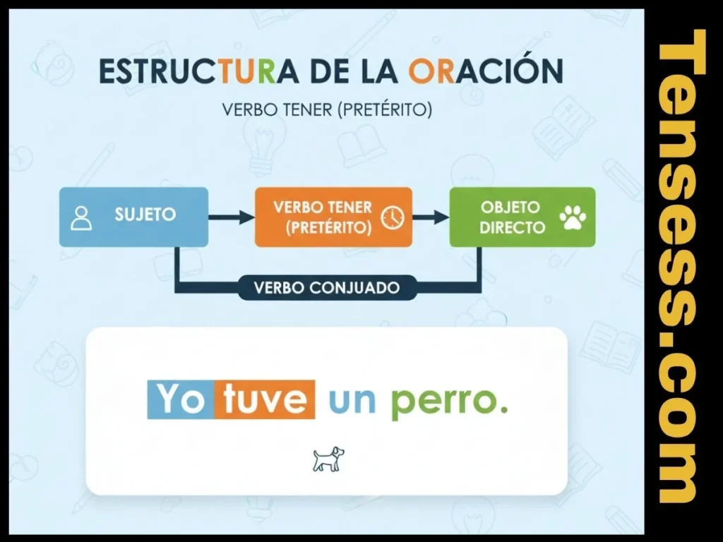 Structure of a Sentence in Tener Past Tense