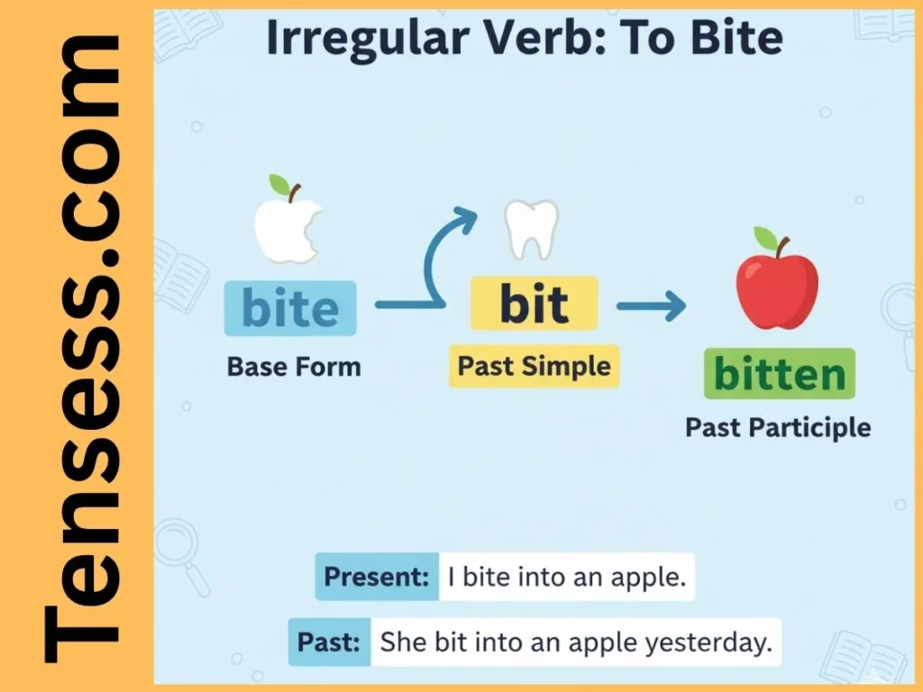 What Is the Past Tense of “Bite”?