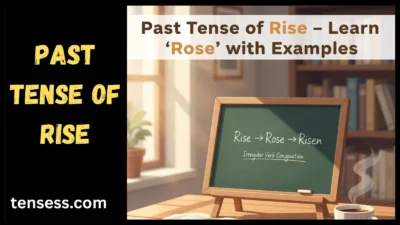 Past Tense of Rise
