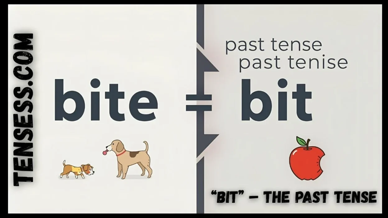 “Bit” – The Past Tense