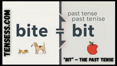 “Bit” – The Past Tense