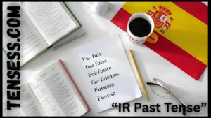 “Ir Past Tense” Tense