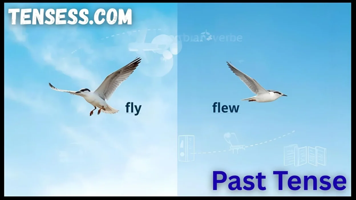 Past Tense of Fly