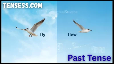 Past Tense of Fly